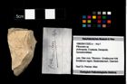 Foto (Objekt + Etikett) von Pithonoton sp.  (NHMW-GEO-1990-0041-3262a)